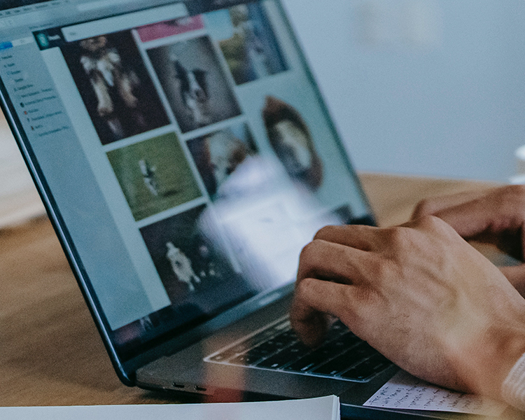 英国·威廉希尔(williamhill)唯一中文官方网站